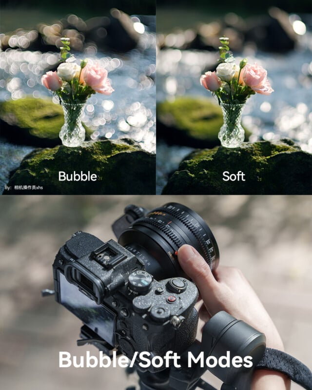 Comparación de dos fotografías de flores etiquetadas como 