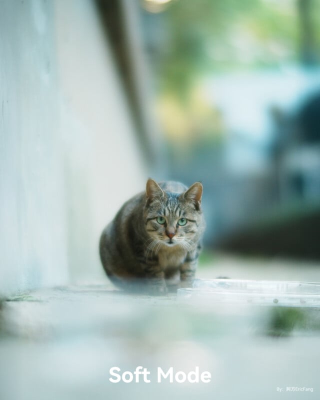 Un gato atigrado se agacha en un sendero soleado al aire libre y mira hacia adelante. El fondo está difuminado, dando un efecto suave y de ensueño. palabras "modo suave" Aparece en la parte inferior de la imagen.