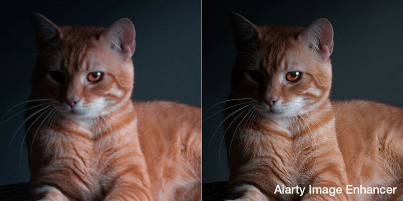Side-by-side comparison of an orange tabby cat in dim lighting on the left and a brighter, sharper enhanced version on the right, with the text "Aiarty Image Enhancer" at the bottom right corner.