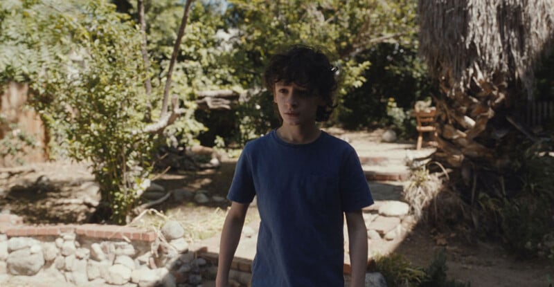 A young boy with curly brown hair wearing a blue t-shirt stands in a sunlit backyard surrounded by trees, shrubs, and rocks.