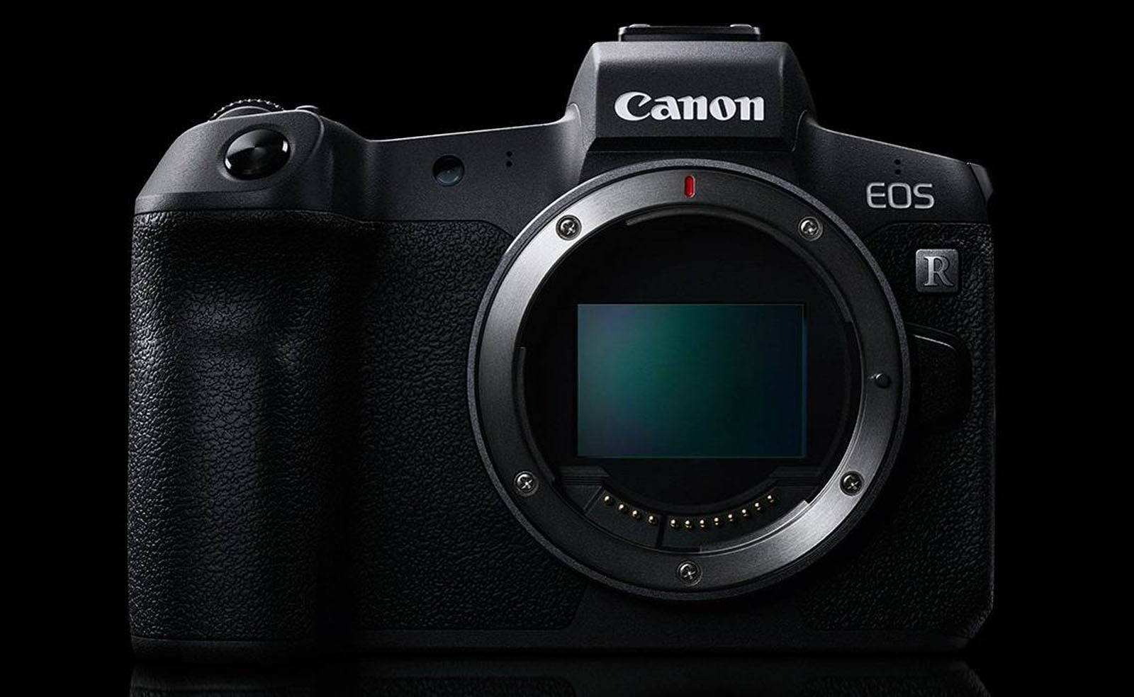 The Canon EOS R Was Such a Weird Camera | PetaPixel