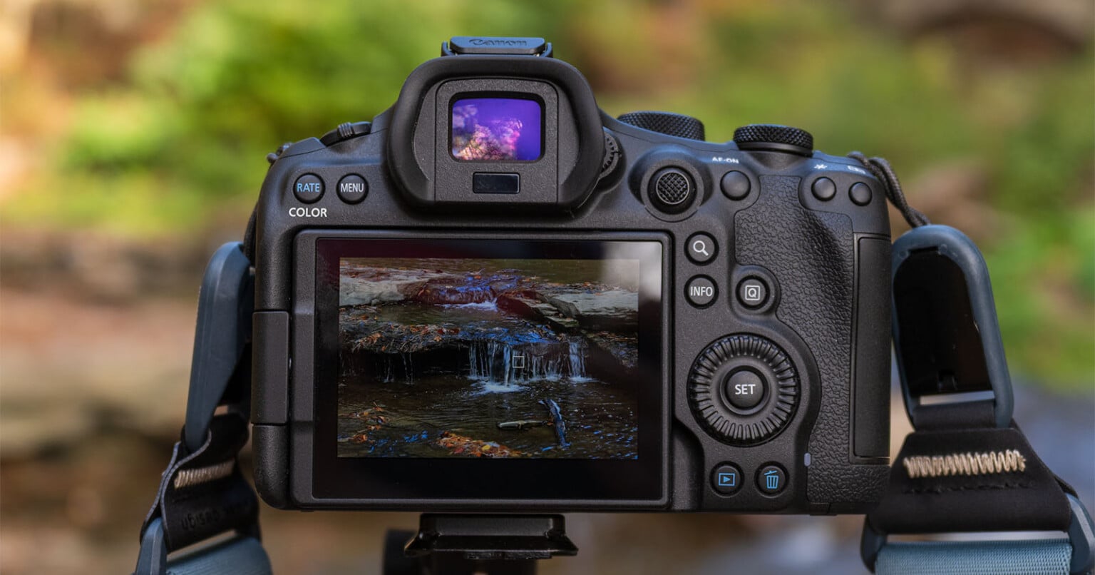 Canon EOS R6 III Review: Predictably Excellent | PetaPixel