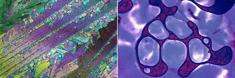 Split image: Left side shows colorful, angular crystal-like patterns in green, purple, and blue. Right side displays rounded, cell-like structures outlined in red on a purple and blue background, resembling organic tissue under a microscope.