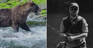 A split image: on the left, a brown bear stands in a rushing river; on the right, a man in outdoor gear holds a fishing rod, appearing to fish in similar waters.