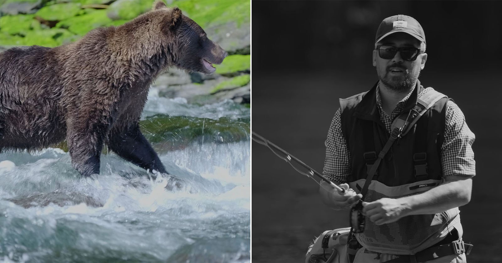 A split image: on the left, a brown bear stands in a rushing river; on the right, a man in outdoor gear holds a fishing rod, appearing to fish in similar waters.