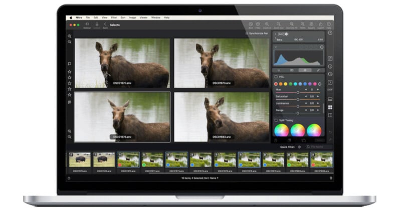 A laptop displaying a photo editing software with four images of a moose by a lake, shown in a grid. Editing tools and adjustment sliders are visible on the right side of the screen.