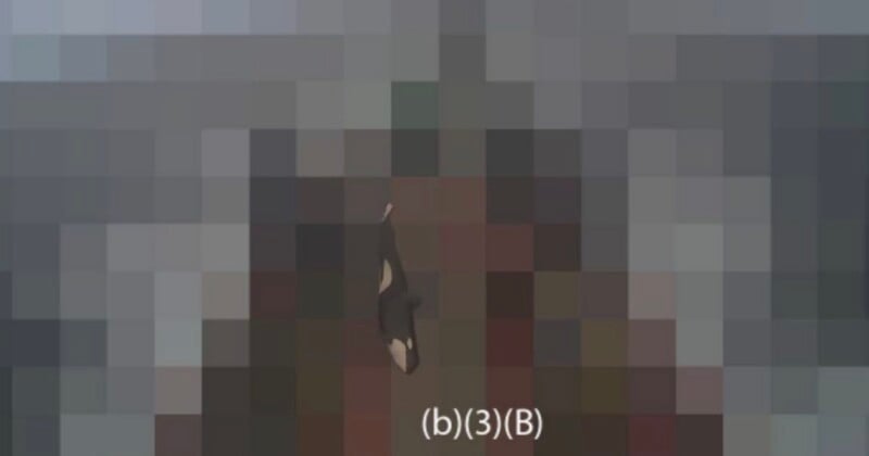 Una imagen muy pixelada con un objeto oscuro no identificable y texto en el centro. "(b)(3)(B)" en la parte inferior. Los colores de fondo son principalmente grises y pasteles.