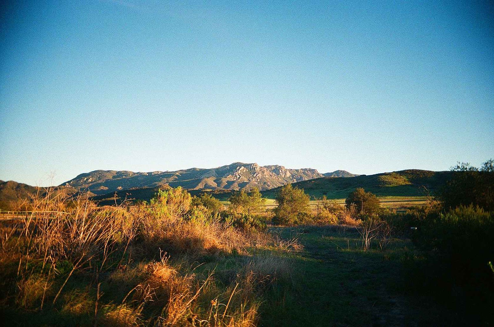 Grassy hills and shrubs in the foreground with sunlit mountains under a clear blue sky in the background.