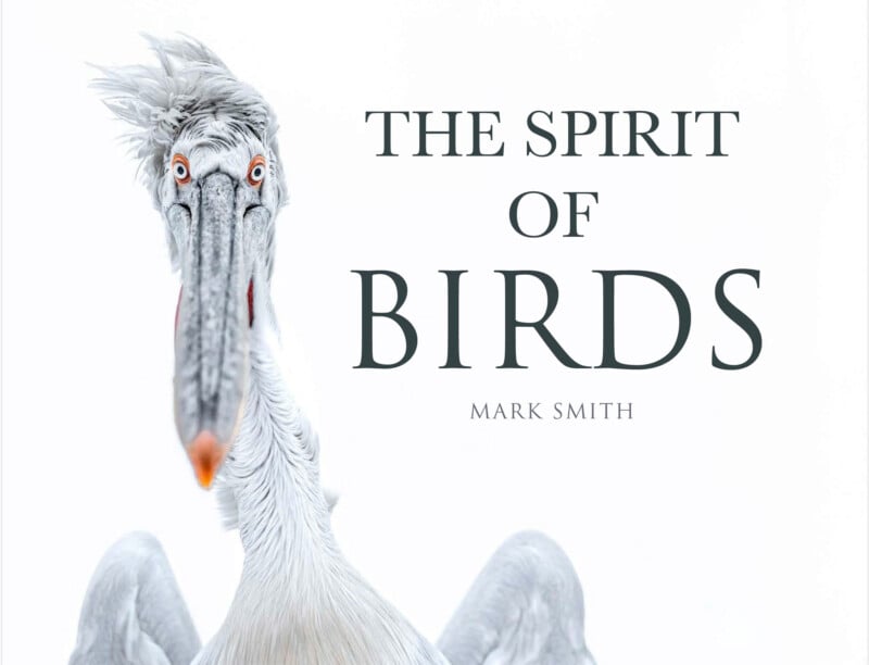 A close-up of a white pelican with ruffled feathers in front of a white background. Large text reads, "The Spirit of Birds" with "Mark Smith" in smaller text below.
