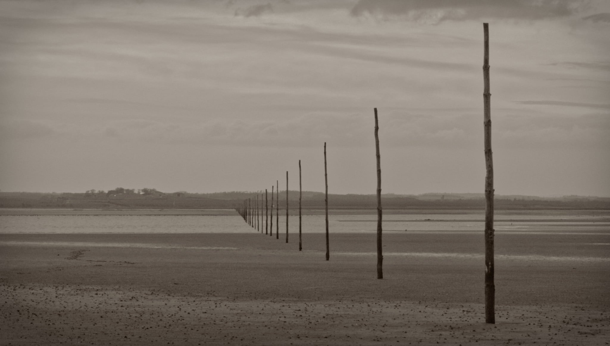 Una serie de postes de madera altos y delgados se extienden sobre un paisaje arenoso plano bajo un cielo nublado, creando una sensación de perspectiva y soledad. La imagen está en blanco y negro.