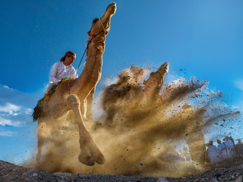 A man in traditional clothing rides a camel at high speed, kicking up a dramatic spray of dust and sand, set against a vivid blue sky with a crowd of people visible in the background.