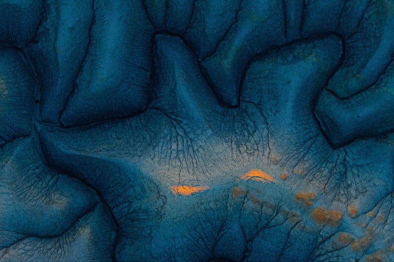 Aerial view of deep blue, textured landscape with branching patterns resembling river valleys or tree roots, featuring small patches of bright orange highlights.