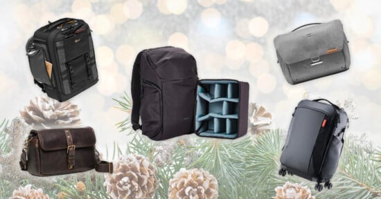 A holiday-themed background with five different camera bags displayed: two backpacks, two messenger bags, and one rolling bag, all arranged among pinecones and branches with a bokeh light effect.