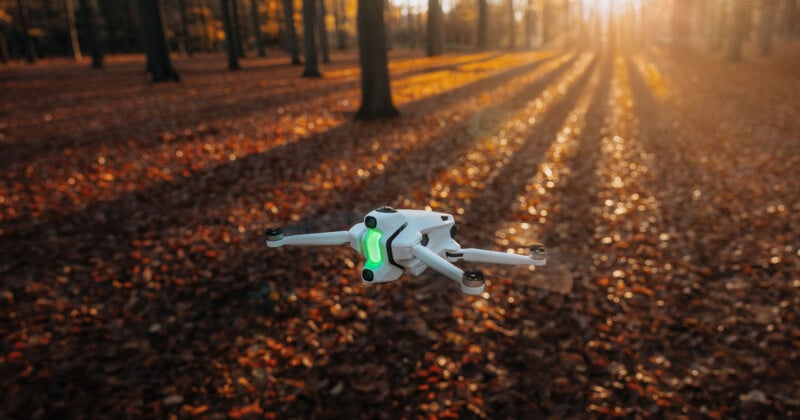 Un pequeño dron blanco con un brillo verde se cierne sobre el suelo de un bosque cubierto de hojas de otoño, con largas sombras de árboles y luz dorada del sol de fondo.