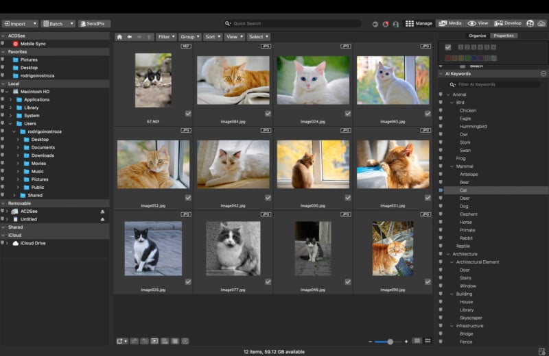 Screenshot of a photo management software showing a grid of various cat photos, including different breeds, colors, and poses. File names and folders are visible along with filters and organizational tools on the sides.