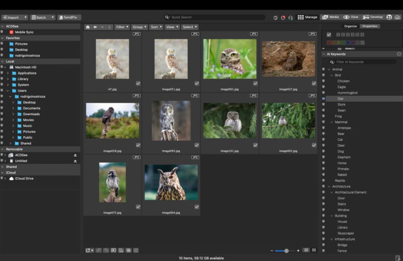 A computer screen displays a photo management program with a grid of owl images. Thumbnails show various owls in different settings, and folders and metadata options are visible on the left and right sides.