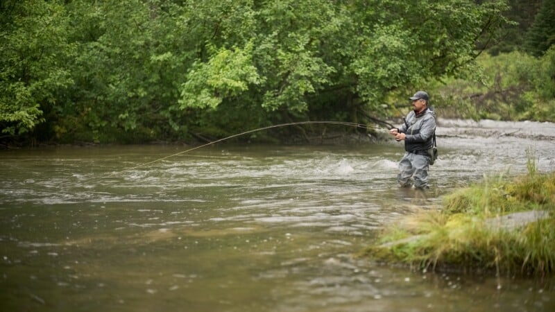 Un hombre que lleva pantalones impermeables y un sombrero se encuentra en un río poco profundo, rodeado de árboles verdes, pescando con mosca con una caña de pescar doblada.