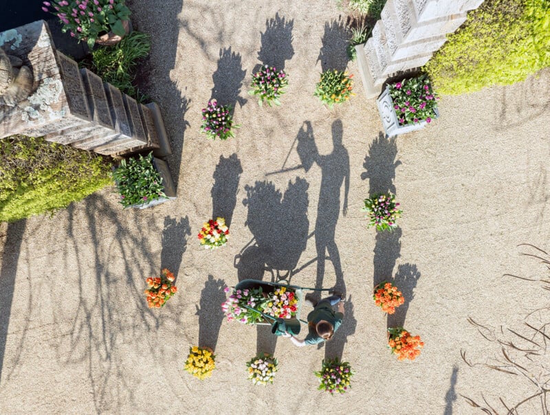 Aerial view of two people walking beside a wheelbarrow filled with flowers in a garden, surrounded by colorful flower arrangements and casting long shadows on a gravel path.