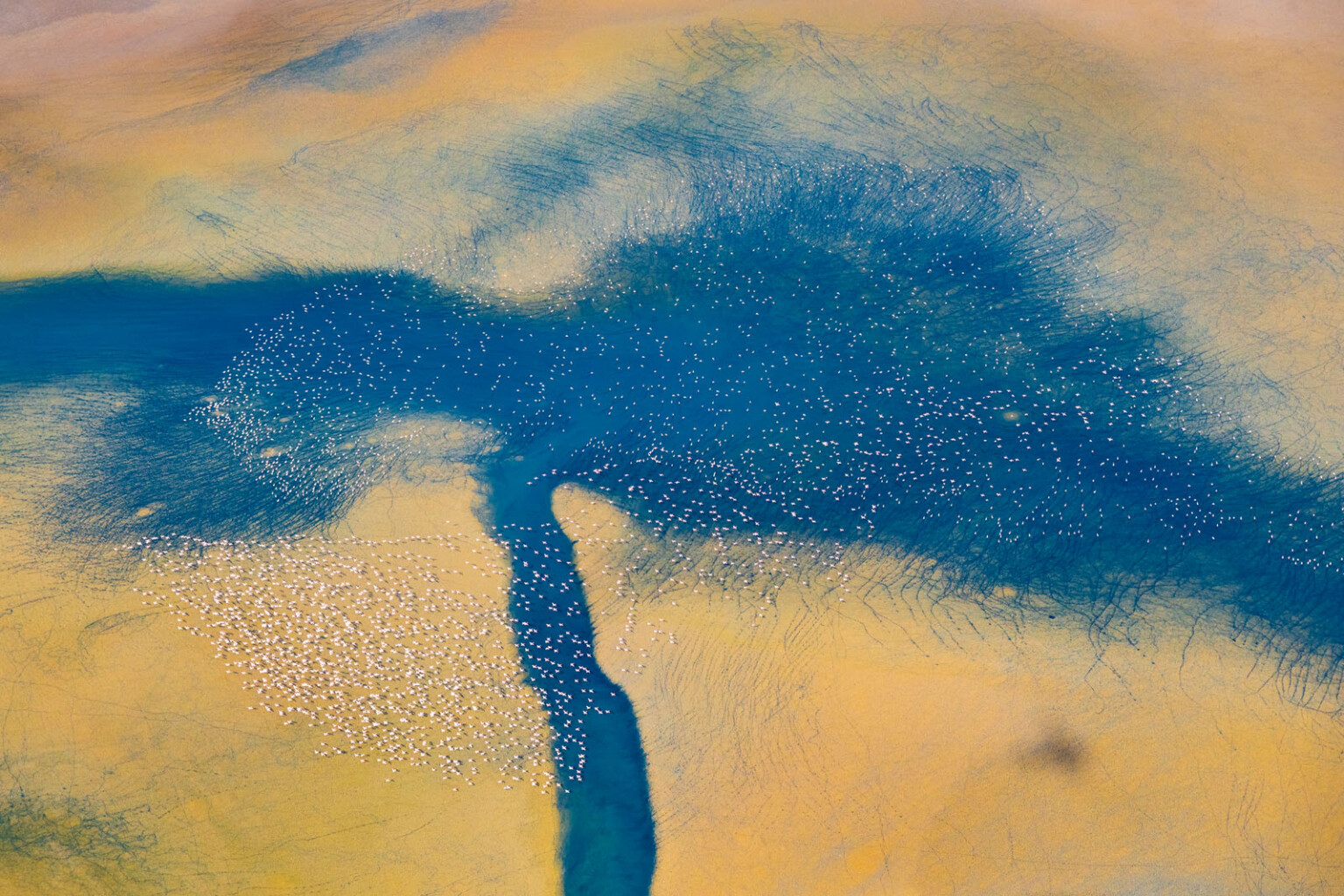 Remarkable Photos Show the People, Places, and Wildlife of the Great ...