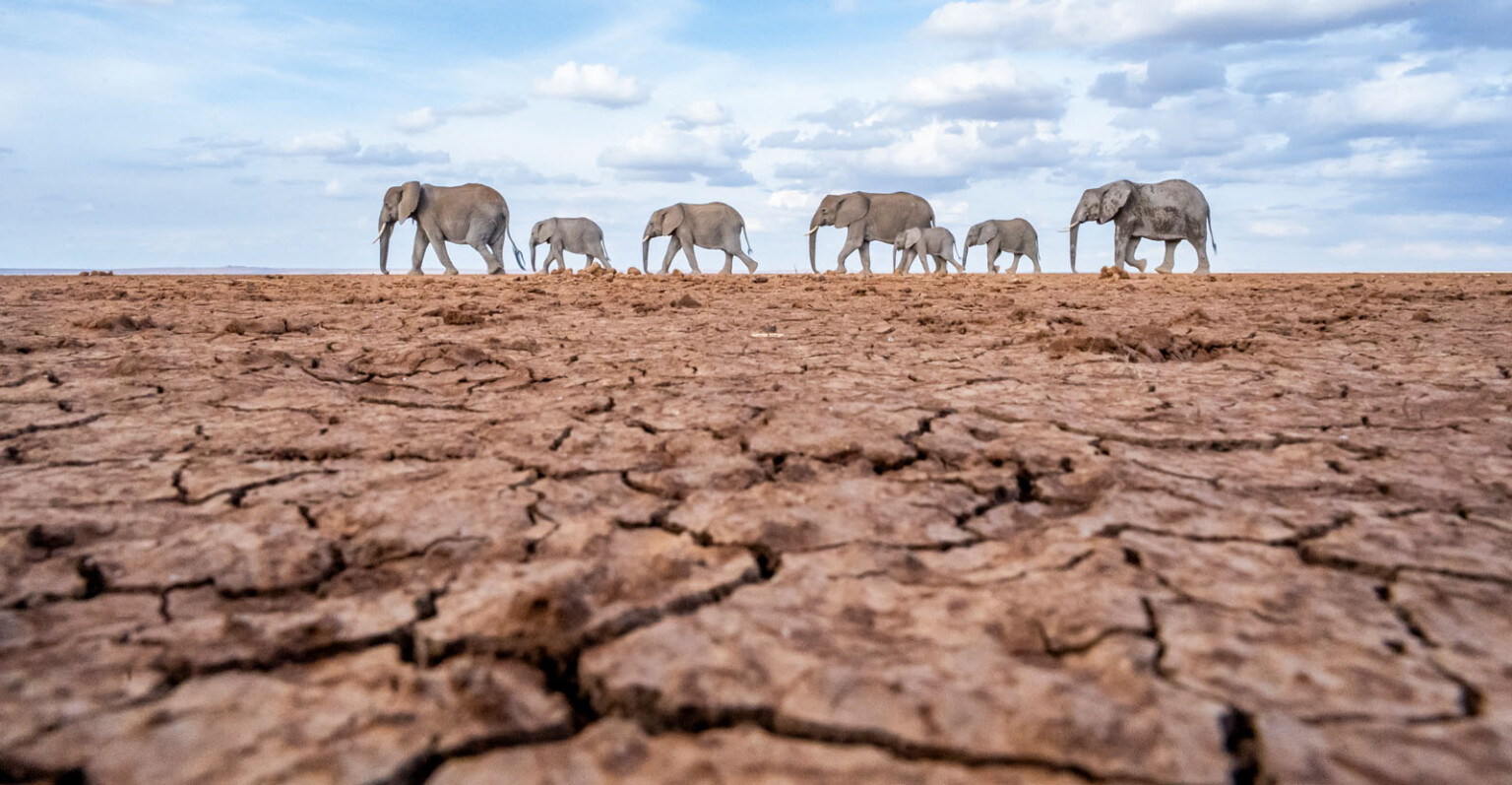 Remarkable Photos Show the People, Places, and Wildlife of the Great ...