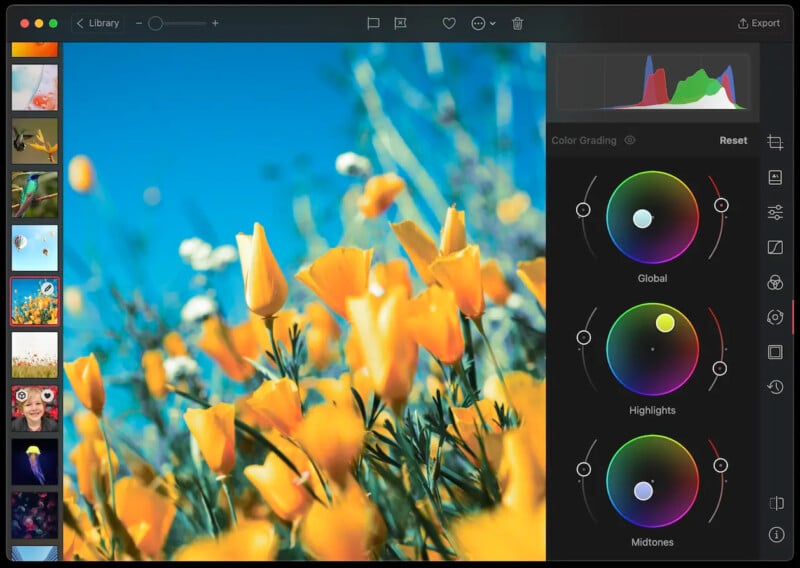 La interfaz del software de edición de fotografías muestra una imagen vívida de flores de color amarillo anaranjado contra un cielo azul, con una rueda de clasificación de color y herramientas de ajuste de imagen visibles en el lado derecho de la pantalla.