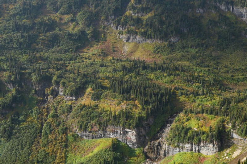 Las exuberantes laderas verdes están salpicadas de coníferas, afloramientos rocosos y la luz del sol, resaltando la variada topografía. Hay capas de vegetación y acantilados de roca expuesta en las laderas.