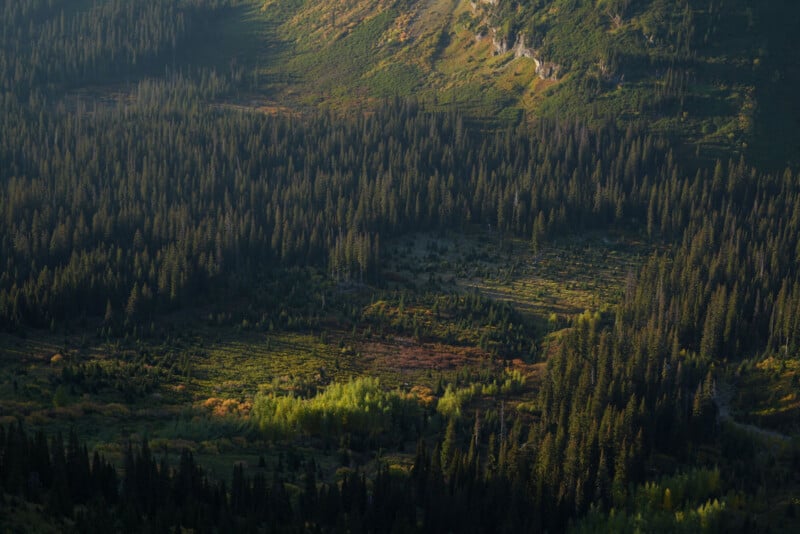La luz del sol se filtra a través del denso bosque siempre verde del valle, proyectando sombras e iluminando parches de hojas verdes, con el telón de fondo de las escarpadas laderas.