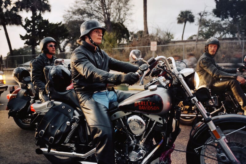 Three men wearing black leather jackets and helmets ride Harley-Davidson motorcycles on a street lined with palm trees, with a fence and trees in the background. The scene appears to be at dusk or dawn.