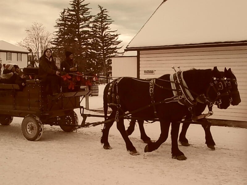 Dos caballos negros tiraban de un carruaje de madera lleno de personas vestidas con abrigos de invierno. La escena tiene lugar en una calle nevada, flanqueada por edificios blancos y altos árboles de hoja perenne al fondo.
