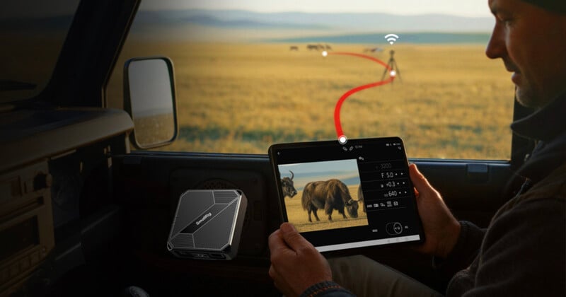 La gente en los automóviles usa tabletas para mostrar fotografías de bisontes en un campo. La tableta se conecta de forma inalámbrica a la cámara exterior y se pueden conectar dispositivos cercanos. Se ven claramente animales lejanos y praderas abiertas.