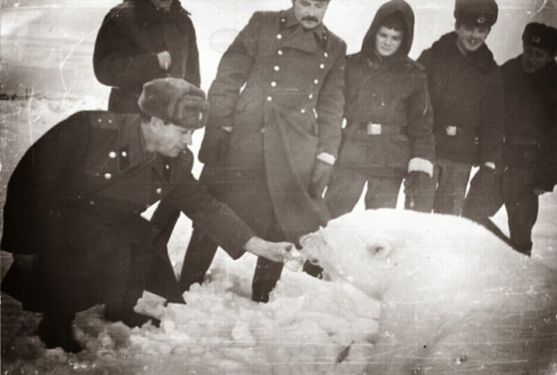 Un grupo de personas con uniformes de invierno están de pie en la nieve y una de ellas se arrodilla para alimentar a un oso polar. La escena parece antigua y está en blanco y negro.