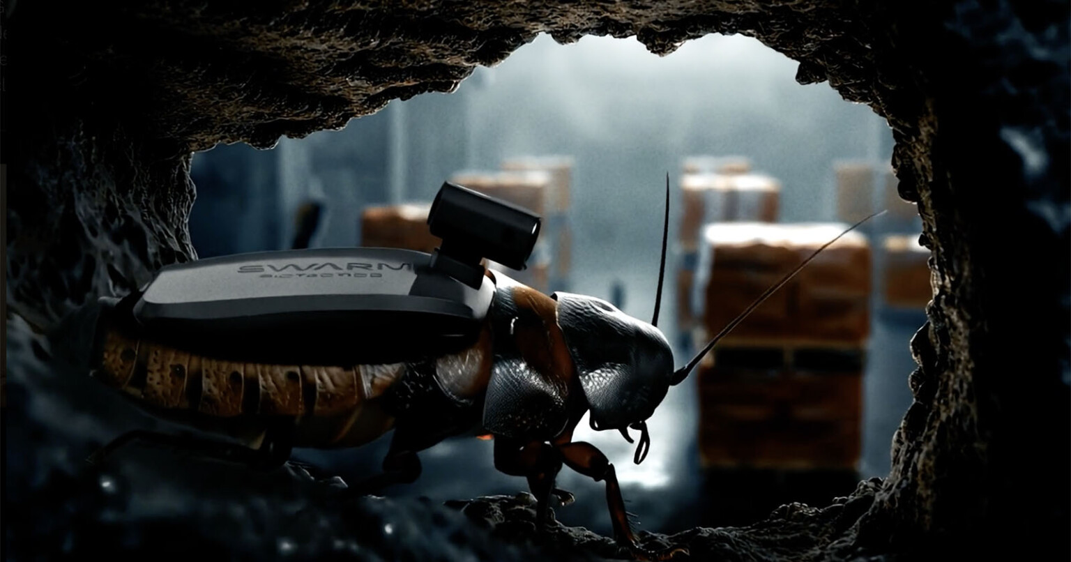 German Army Recruits Giant Cockroaches to Carry Cameras That Spy on the ...