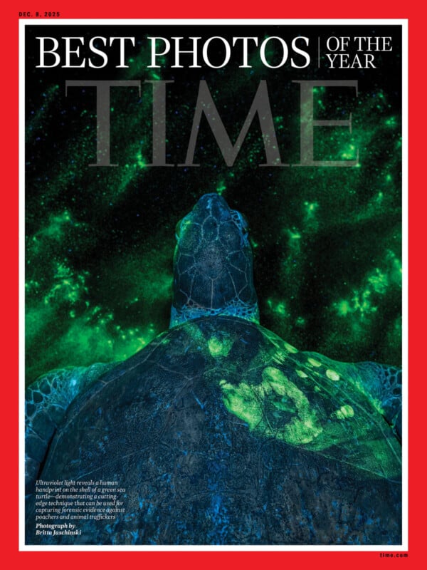 Una tortuga marina nada bajo el agua, su caparazón y cabeza iluminados por patrones verdes brillantes contra un fondo oscuro de cielo estrellado. Esta imagen aparece en "Las mejores fotografías del año según la revista Time" Portada de revista.