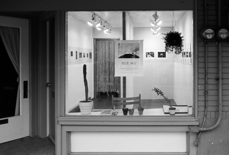 Black-and-white photo of an art gallery storefront window displaying a poster, two potted plants, a chair, and framed photographs on the walls inside. A hanging plant and visible utility meters are on the right side.