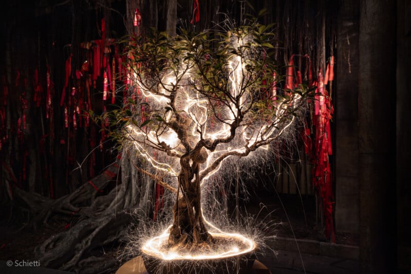 Un árbol bonsái está iluminado por senderos de luz arremolinados, con cintas rojas colgando de sus raíces retorcidas sobre un fondo oscuro. El efecto luminoso resalta las intrincadas ramas y hojas de los árboles.