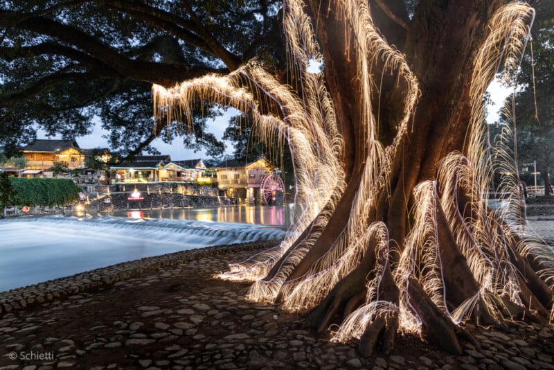 Al anochecer, un gran árbol con raíces extendidas se ilumina con luces brillantes en cascada, con un río y una arquitectura tradicional en el suave fondo. Las exposiciones prolongadas crean senderos de luz brillantes alrededor del tronco y las ramas.