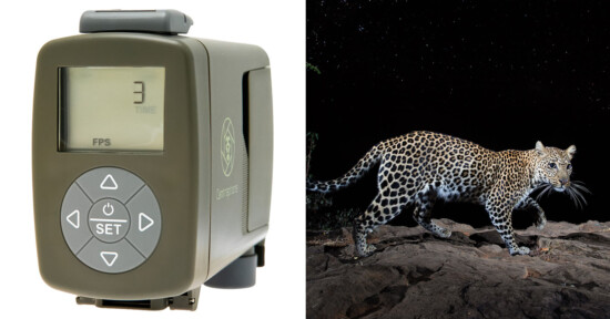 On the left, a close-up of an electronic timer device with a display screen and circular control buttons. On the right, a leopard walks on rocky ground at night under a starry sky.