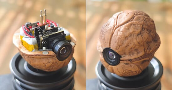 Two views of a camera hidden inside a walnut shell: the left side shows exposed camera components inside half a shell, and the right side shows the closed shell with only the camera lens visible.