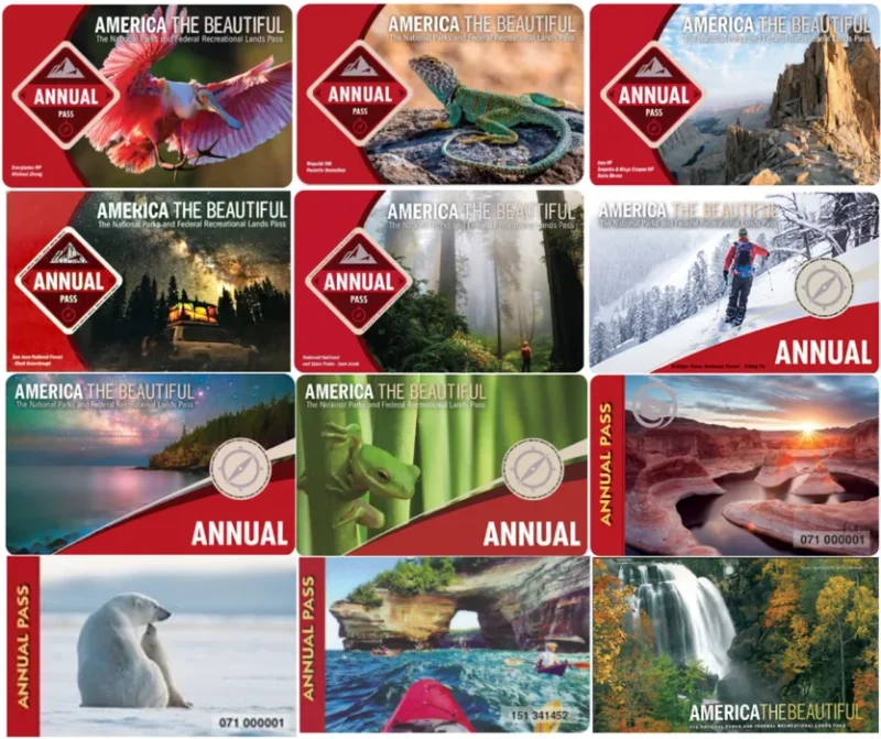 A collage of "America the Beautiful" annual national park passes, each featuring vibrant nature scenes, including wildlife, mountains, kayaking, forests, waterfalls, rock formations, and winter sports.