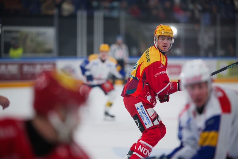Un jugador de hockey sobre hielo con una camiseta roja y amarilla se concentra en la acción durante el juego, mientras que otros jugadores con camisetas azules, blancas y amarillas patinan sobre el hielo cercano. El fondo muestra multitudes borrosas y tablas de madera.