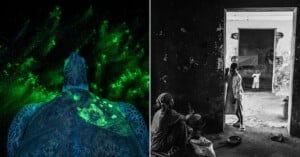 Split image: Left, a sea turtle seen from above glows with green bioluminescence in dark water. Right, a black-and-white scene shows people inside a dim, rustic room, one standing by a doorway while a child stands outside.
