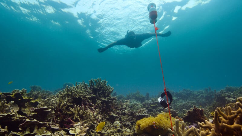 A snorkeler swims above a vibrant coral reef in clear blue water, with a red and white buoy floating on the surface and a rope extending down to a device among the corals below.