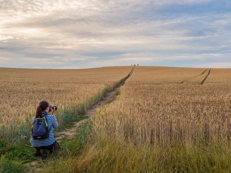 A person with a backpack crouches on a dirt path through a golden wheat field, taking a photo. The sky is partly cloudy, and the path leads toward three distant trees on the horizon.