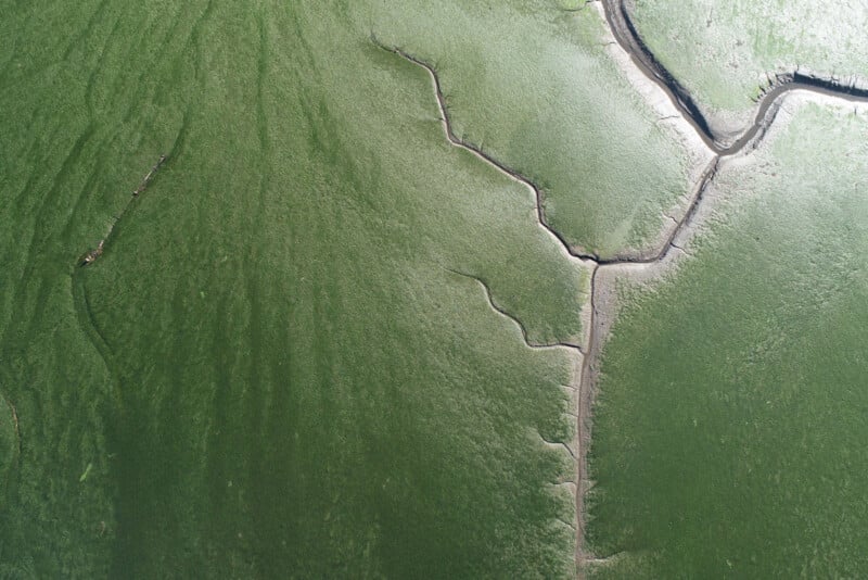 Vista aérea de marismas verdes con canales estrechos y sinuosos y hierba texturizada o musgo que cubre el paisaje.
