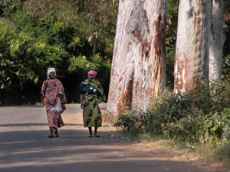 Two women in colorful patterned dresses and headscarves walk along a quiet, tree-lined road with large tree trunks and green foliage in the background.
