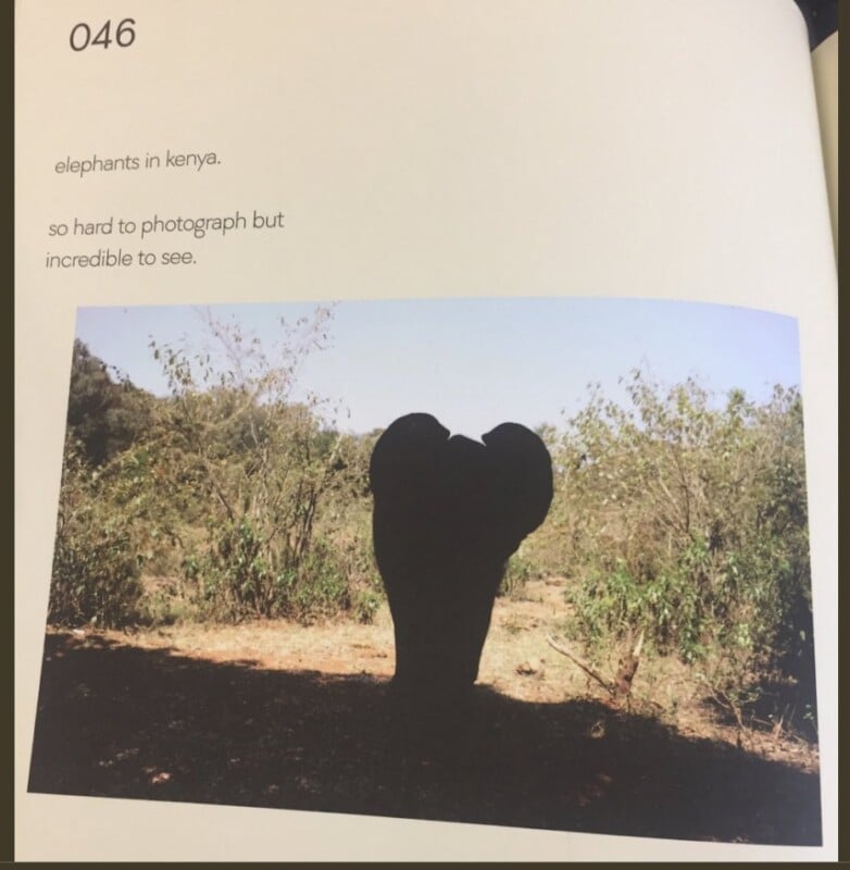 A close-up photo of an elephant’s head and ears in silhouette, standing in front of green bushes and trees in Kenya under a clear sky. Text on the page describes elephants as hard to photograph but incredible to see.