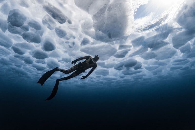 A diver wearing fins and a wetsuit swims underwater beneath thick, textured ice formations, with sunlight filtering through cracks above.