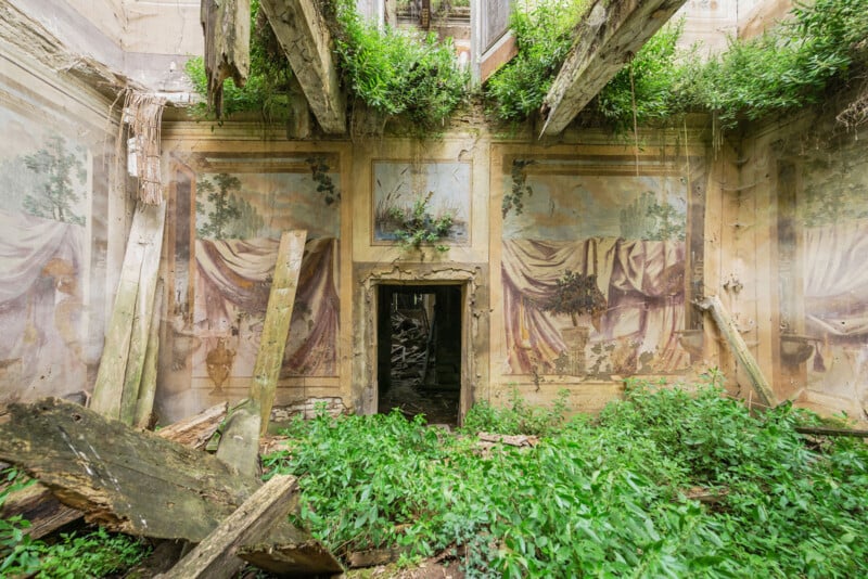 A room in a ruined building with collapsed wooden beams, overgrown greenery on the floor and ceiling, and faded murals depicting draped fabric and trees on the walls. Light filters in from above.