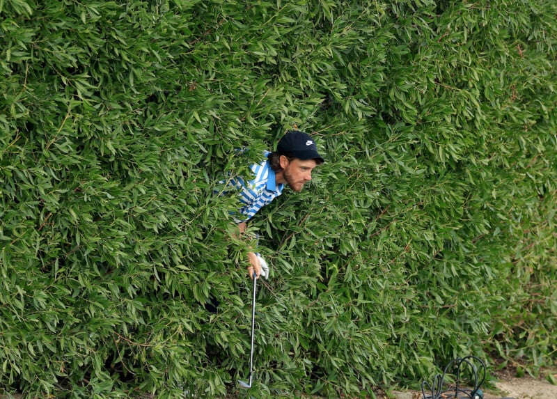 A golfer wearing a striped shirt and cap emerges from a dense green hedge, holding a golf club and looking to the side.