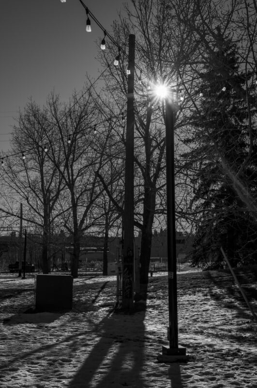 Black and white photo of a snowy park with bare trees, string lights, and tall poles. The sun shines brightly through the trees, casting long shadows on the ground.